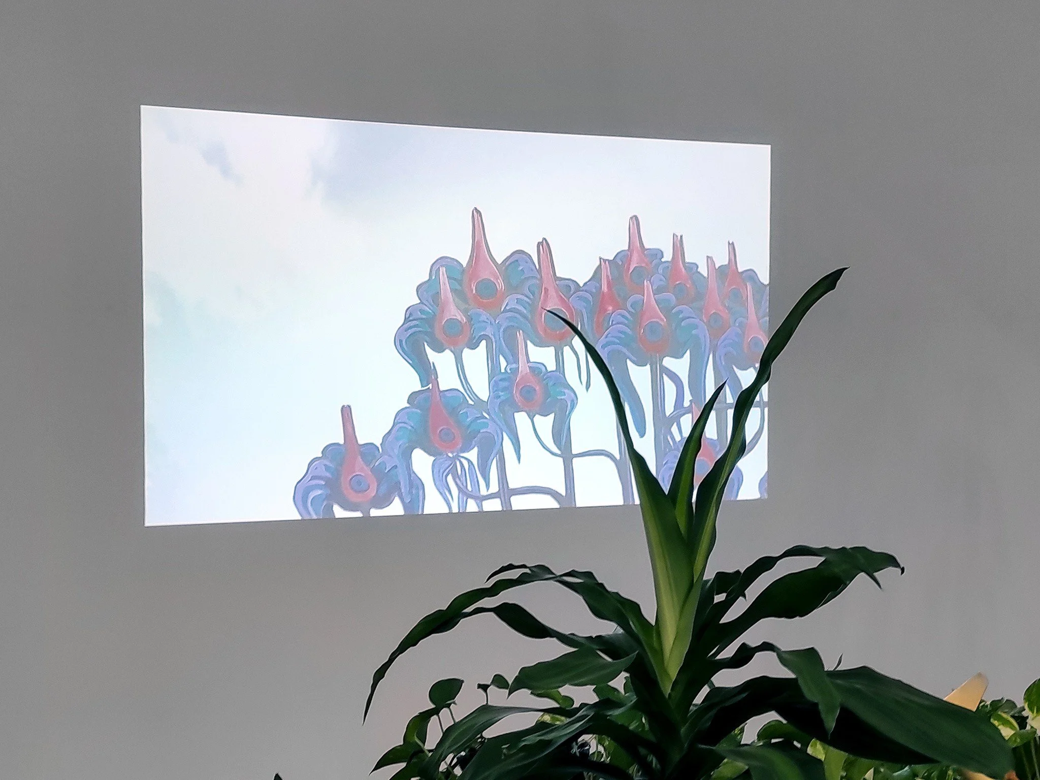 Social media assets IOMO