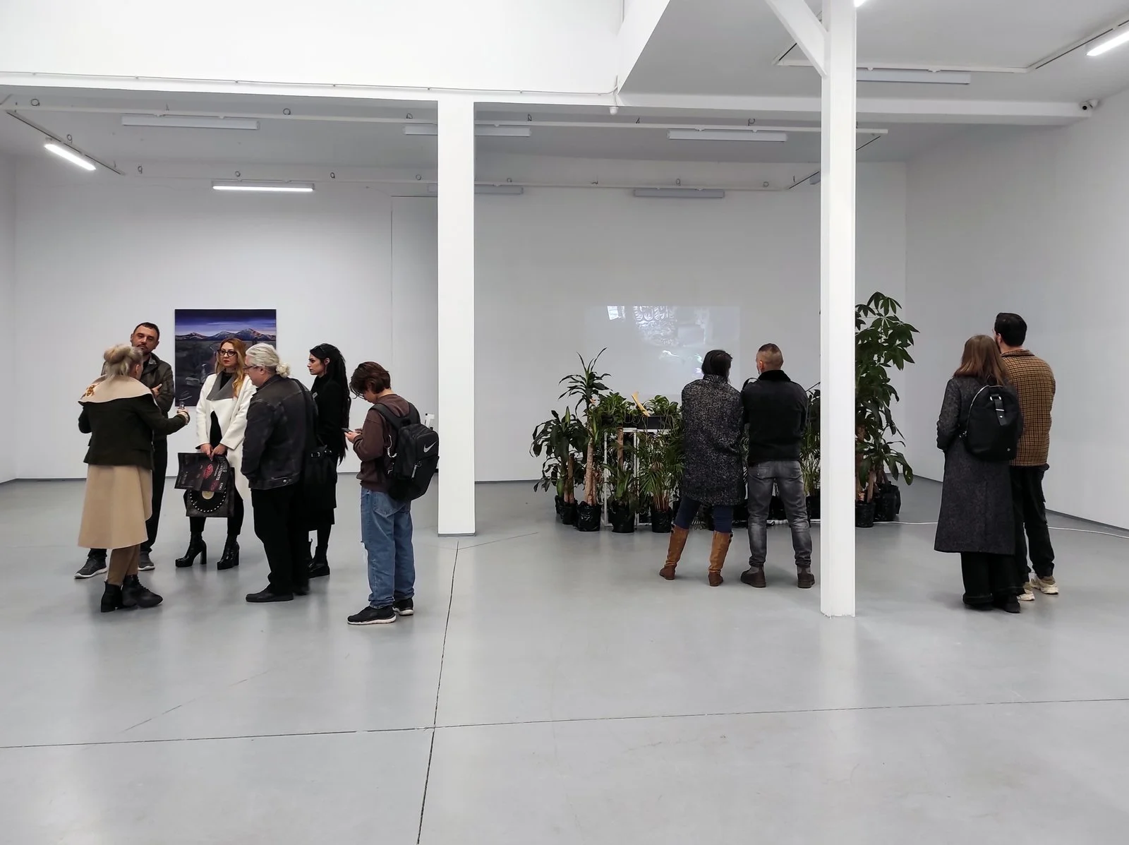 Materiale de marketing IOMO