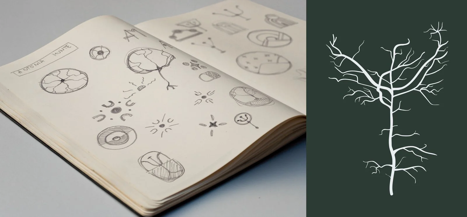 Proces de design Antonia Kreutzer