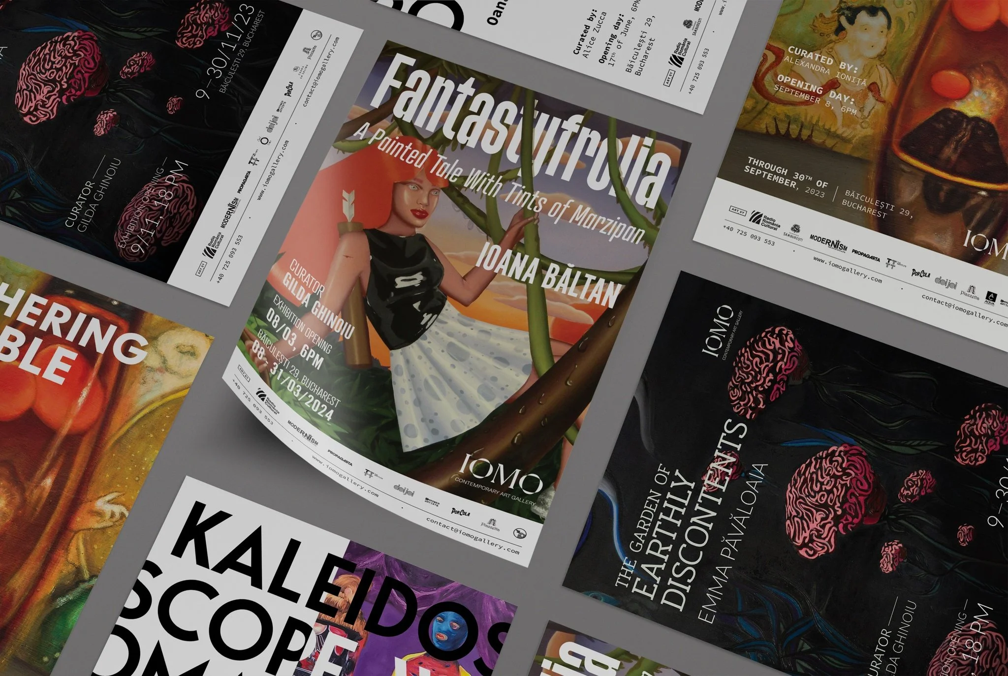 Hero Background IOMO Gallery