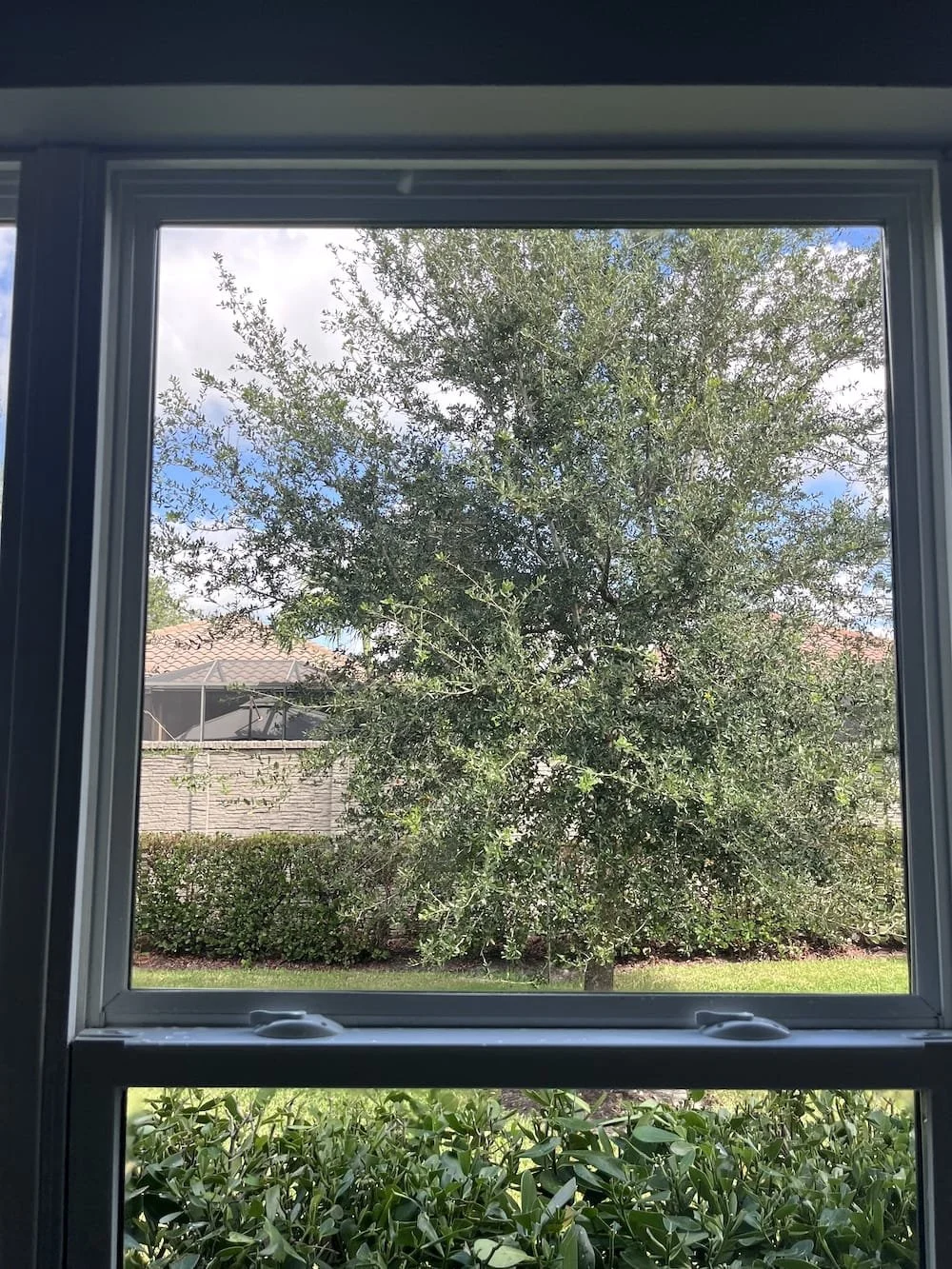 Window After Cleaning in Naples, FL