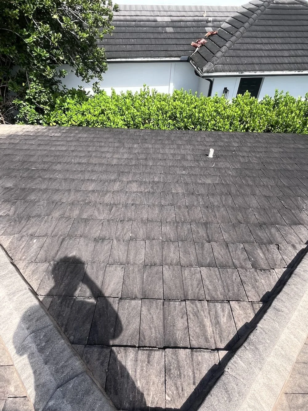 Roof Before Cleaning in Naples, FL