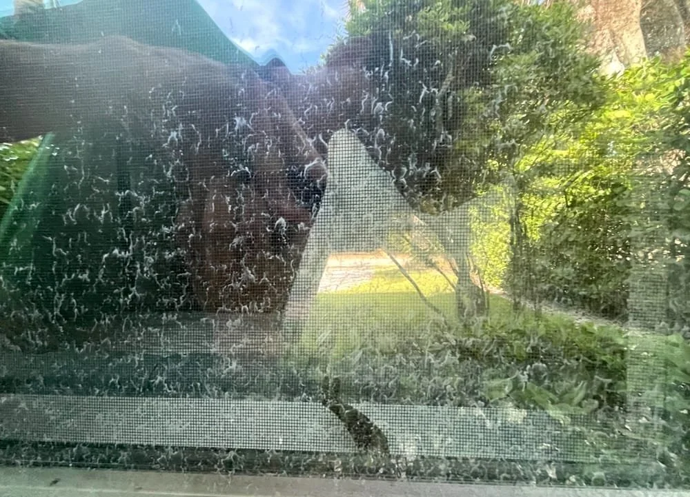 Window Before Cleaning in Naples, FL