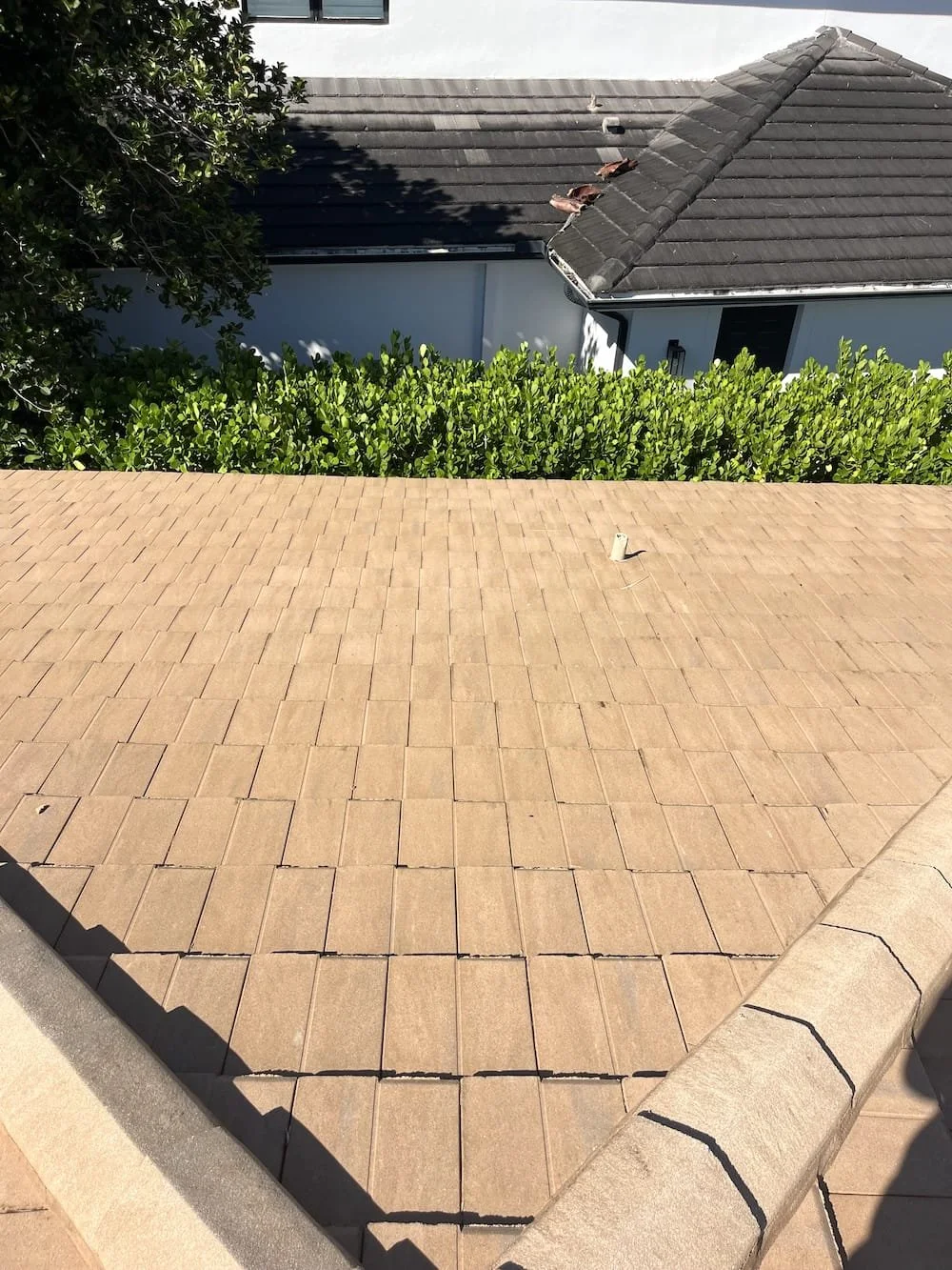 Roof After Cleaning in Naples, FL