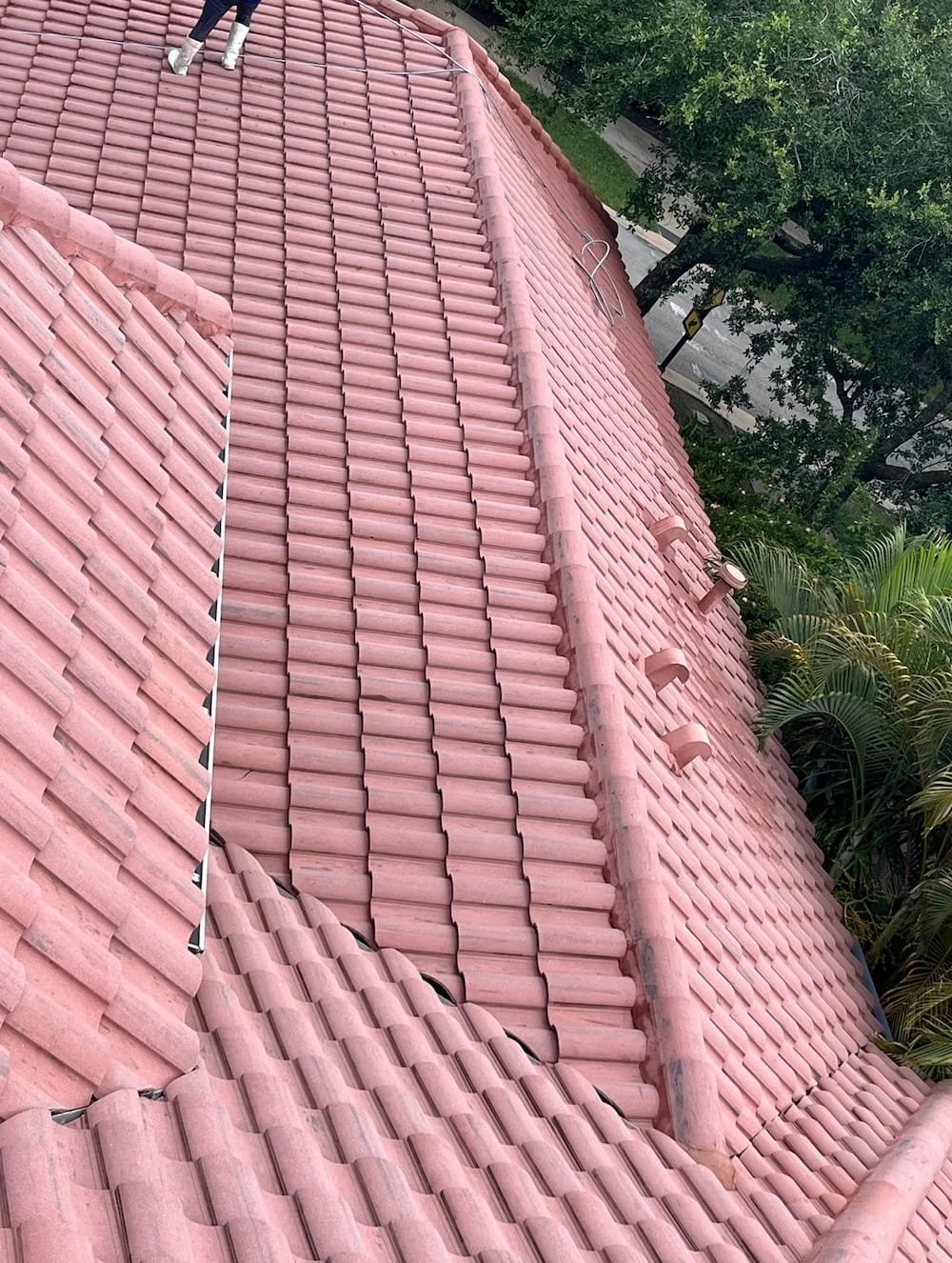 Roof After Cleaning in Naples, FL