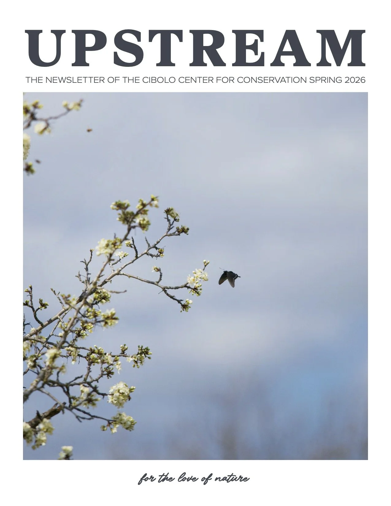 Magazine Cover