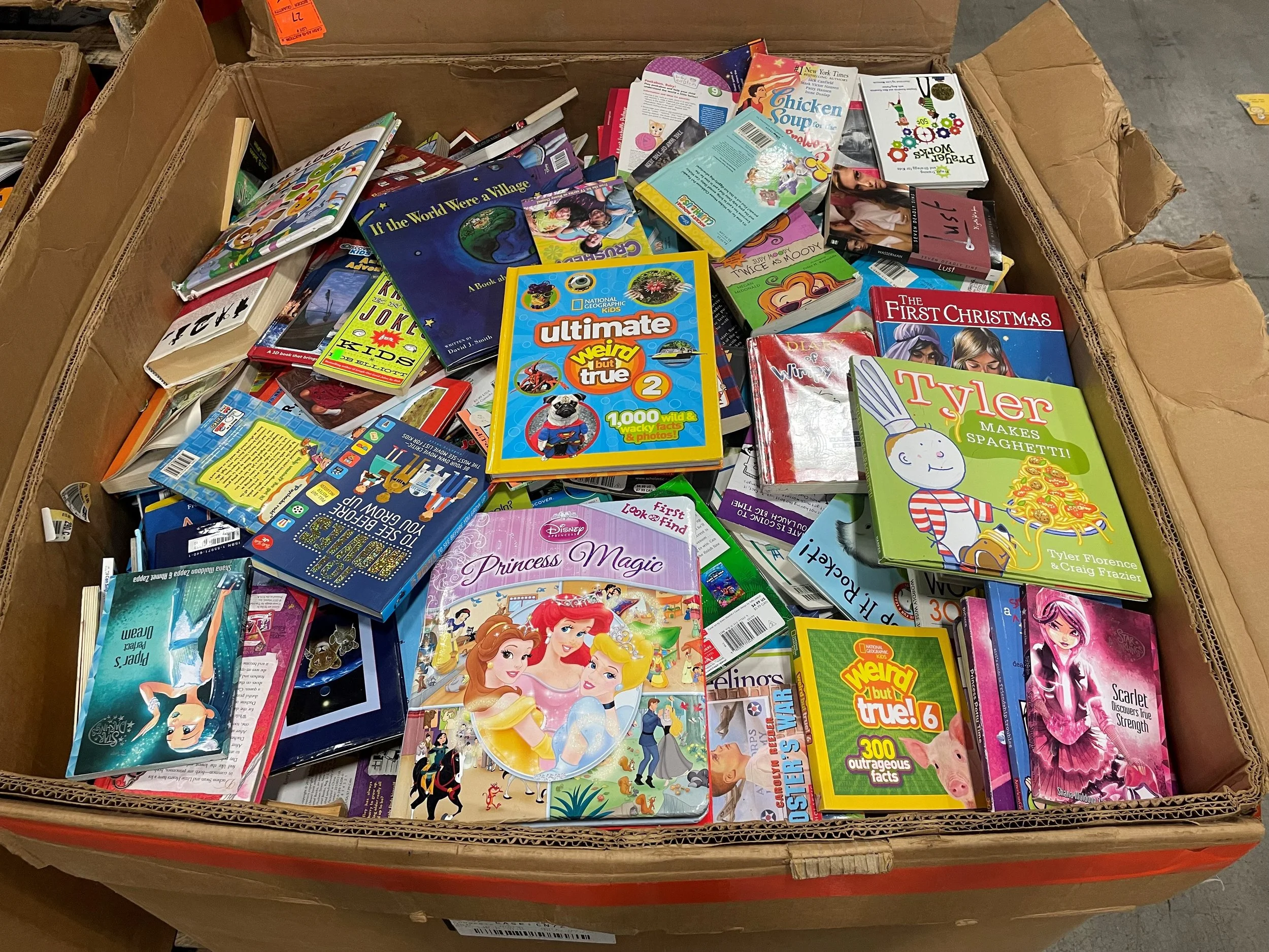 Mixed Kids Books Wholesale Pallets