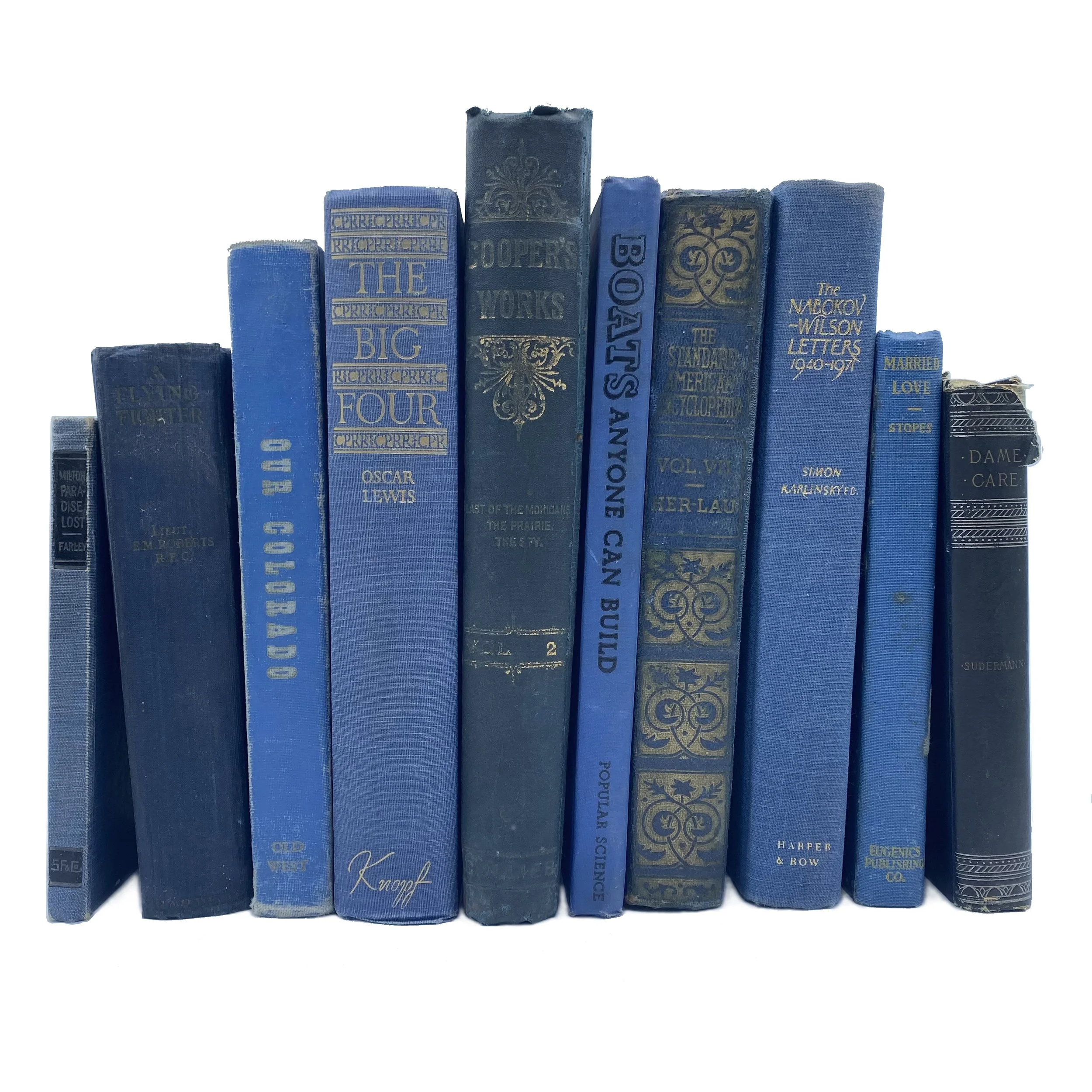 Vintage Blue Books