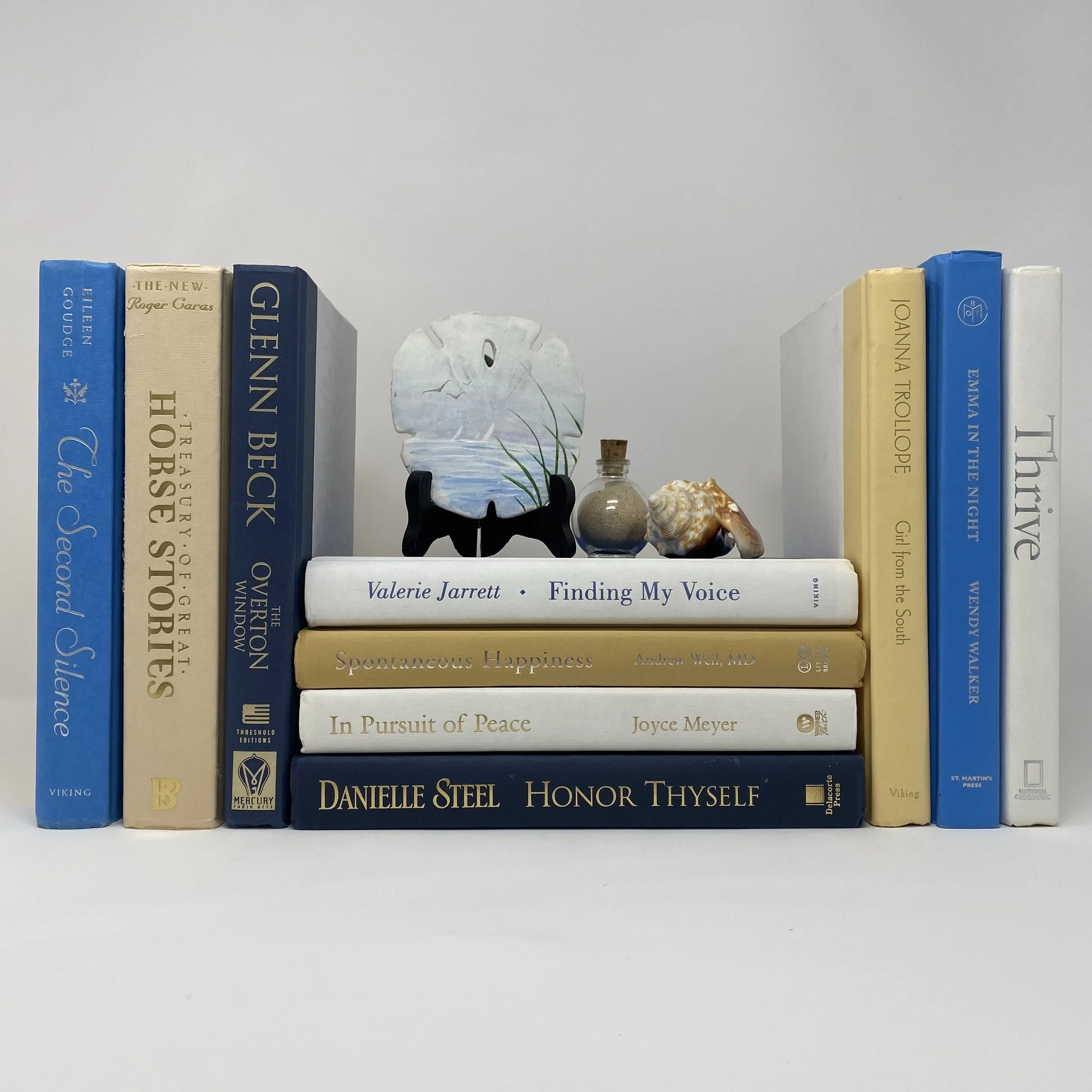 Modern Decorative Hardback Books by Color