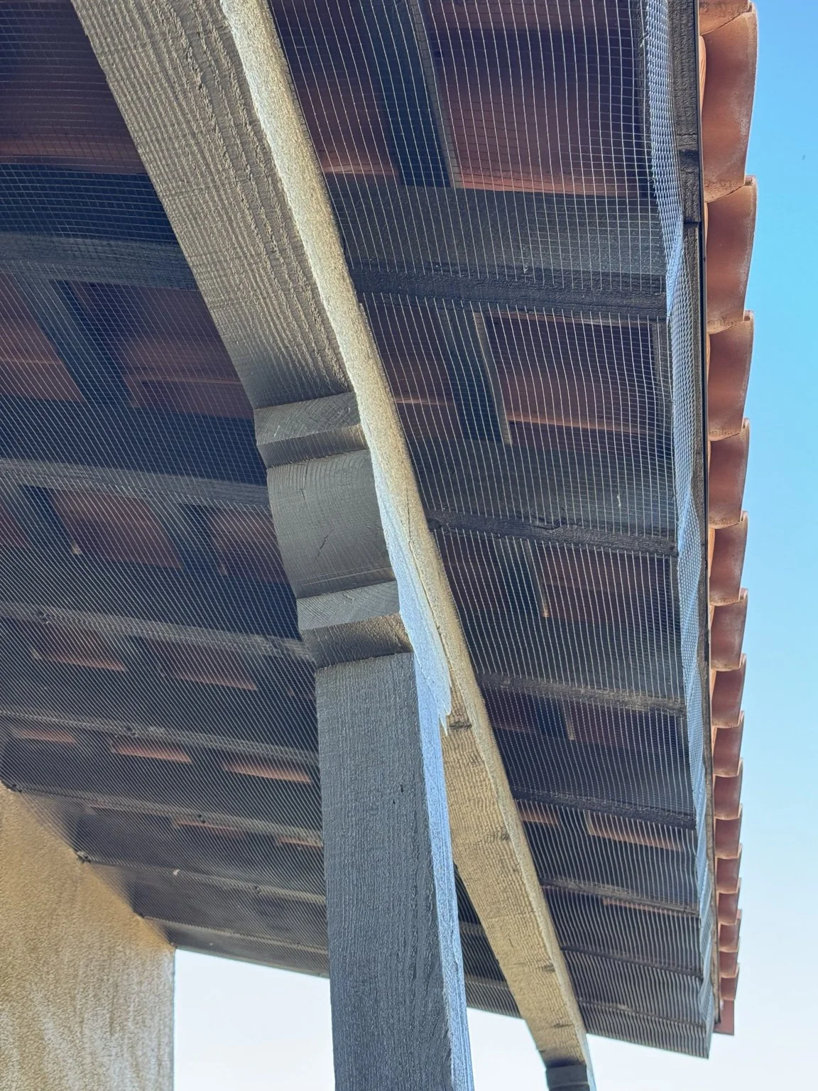Custom exclusion mesh fitted around wooden roof beams by Talon Bird Proofing