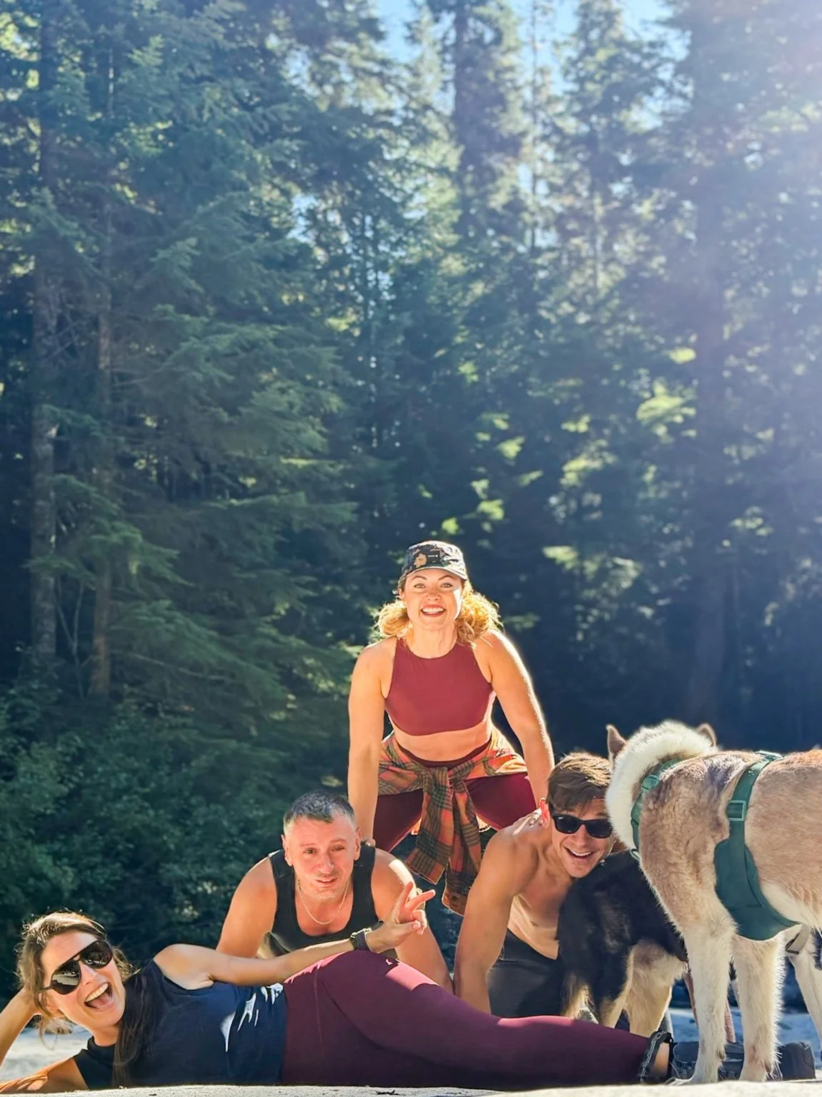 Four people and two dogs sharing a candid moment on sunlit rocks during a forest outing.