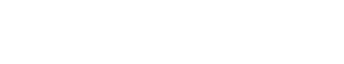 VIDEX