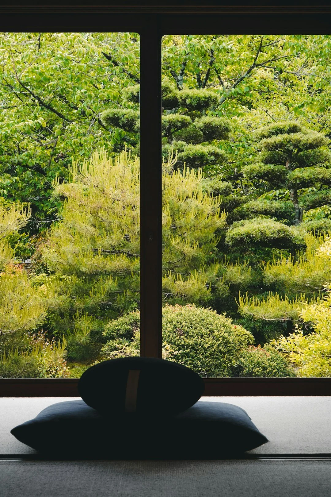Meditation cushion on a wooden floor with a grand view of a vibrant green forest.