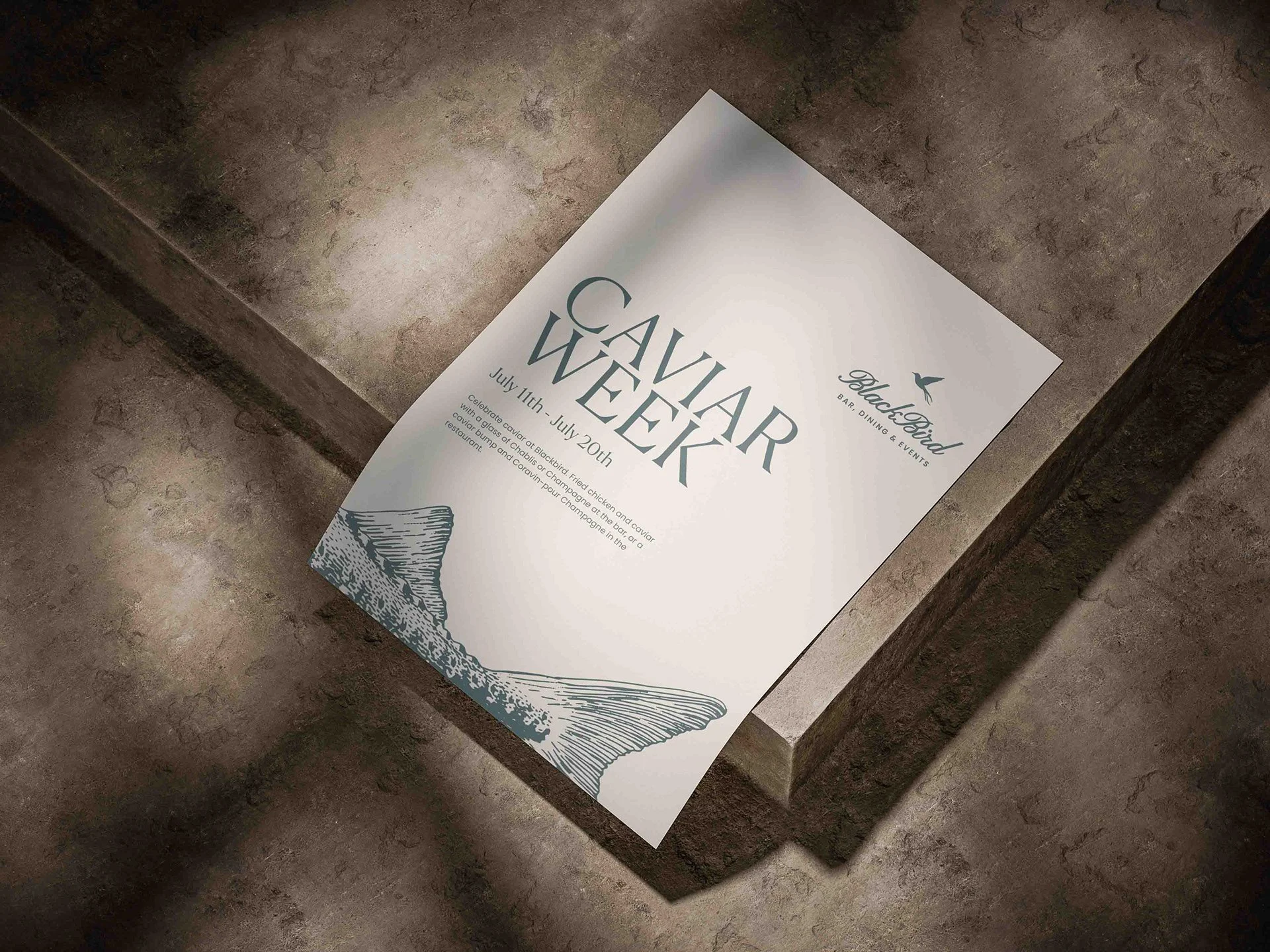Blackbird Melbourne caviar week poster collateral