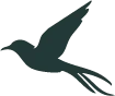 Blackbird alternate logo lockup four