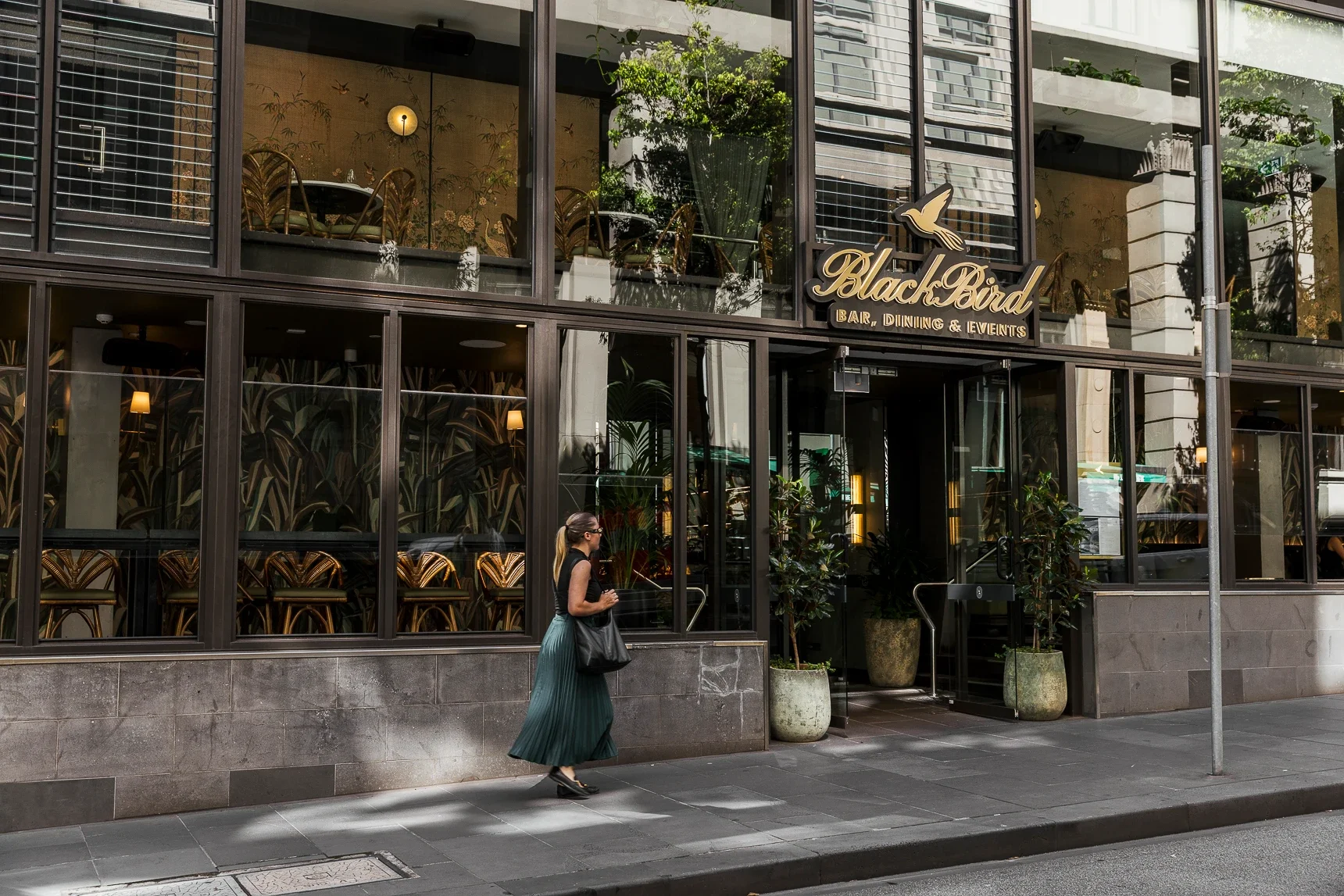 Blackbird Melbourne hospitality brand