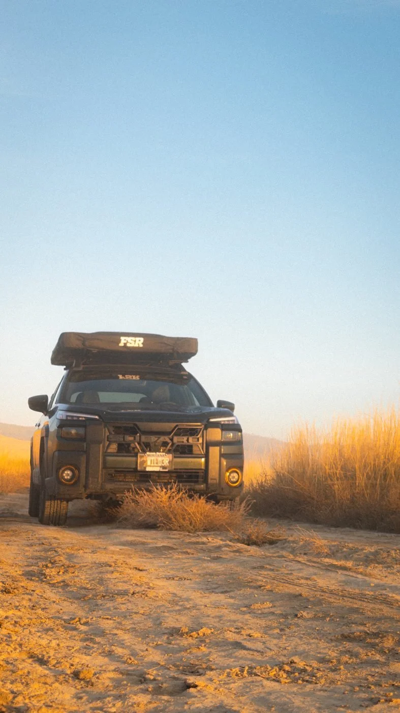 The Outback in golden grass at sunrise