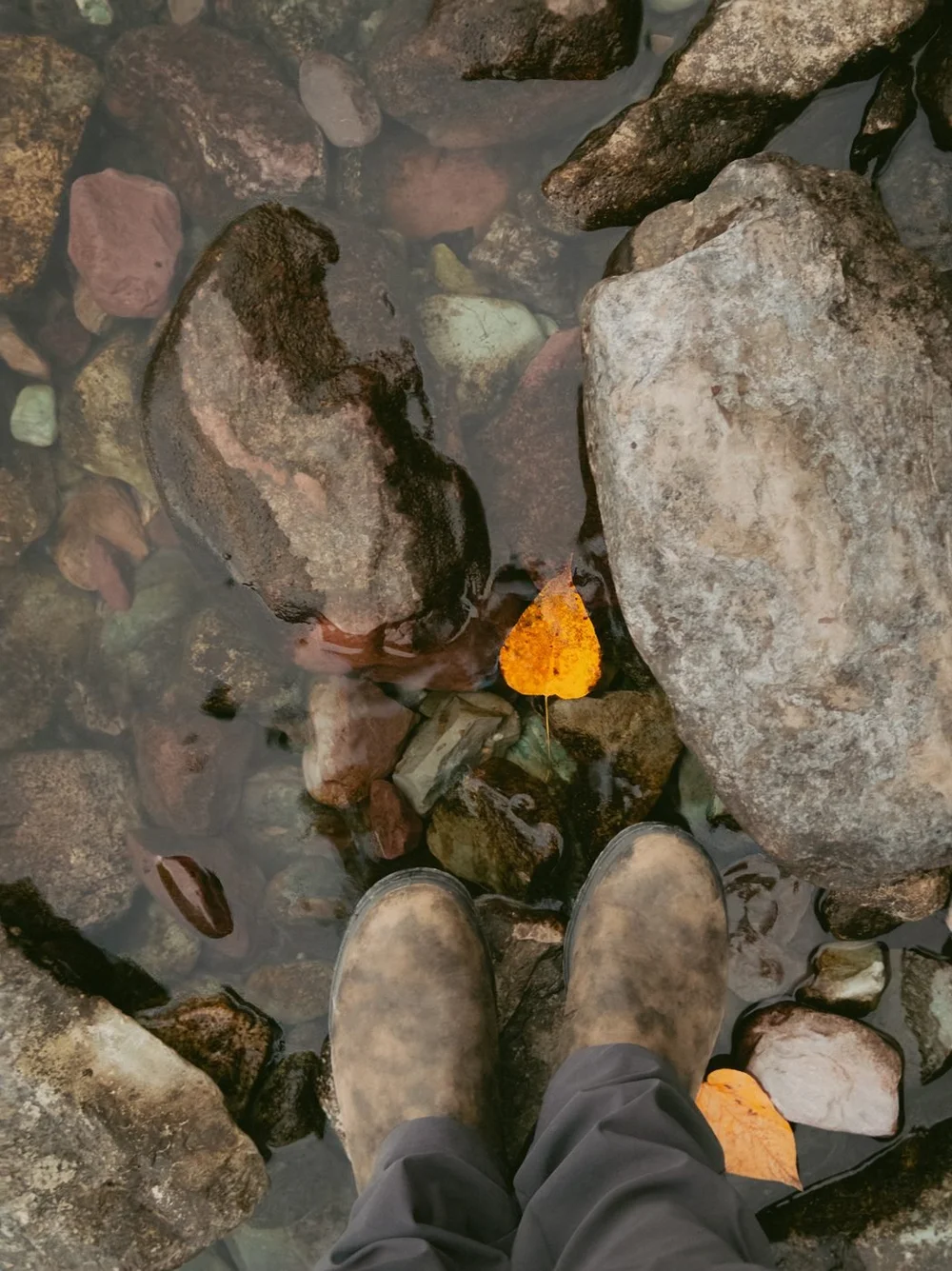 Boots in a rocky stream beside a yellow aspen leaf