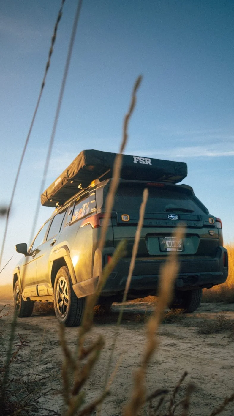 The Outback with its rooftop tent through tall grass