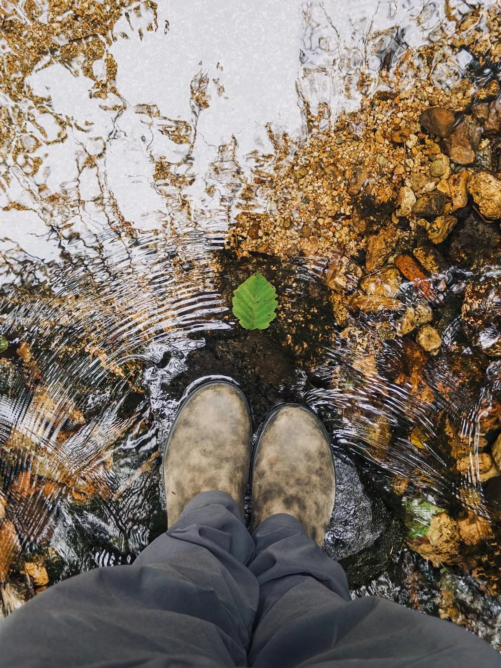 Boots in a clear stream with a green leaf