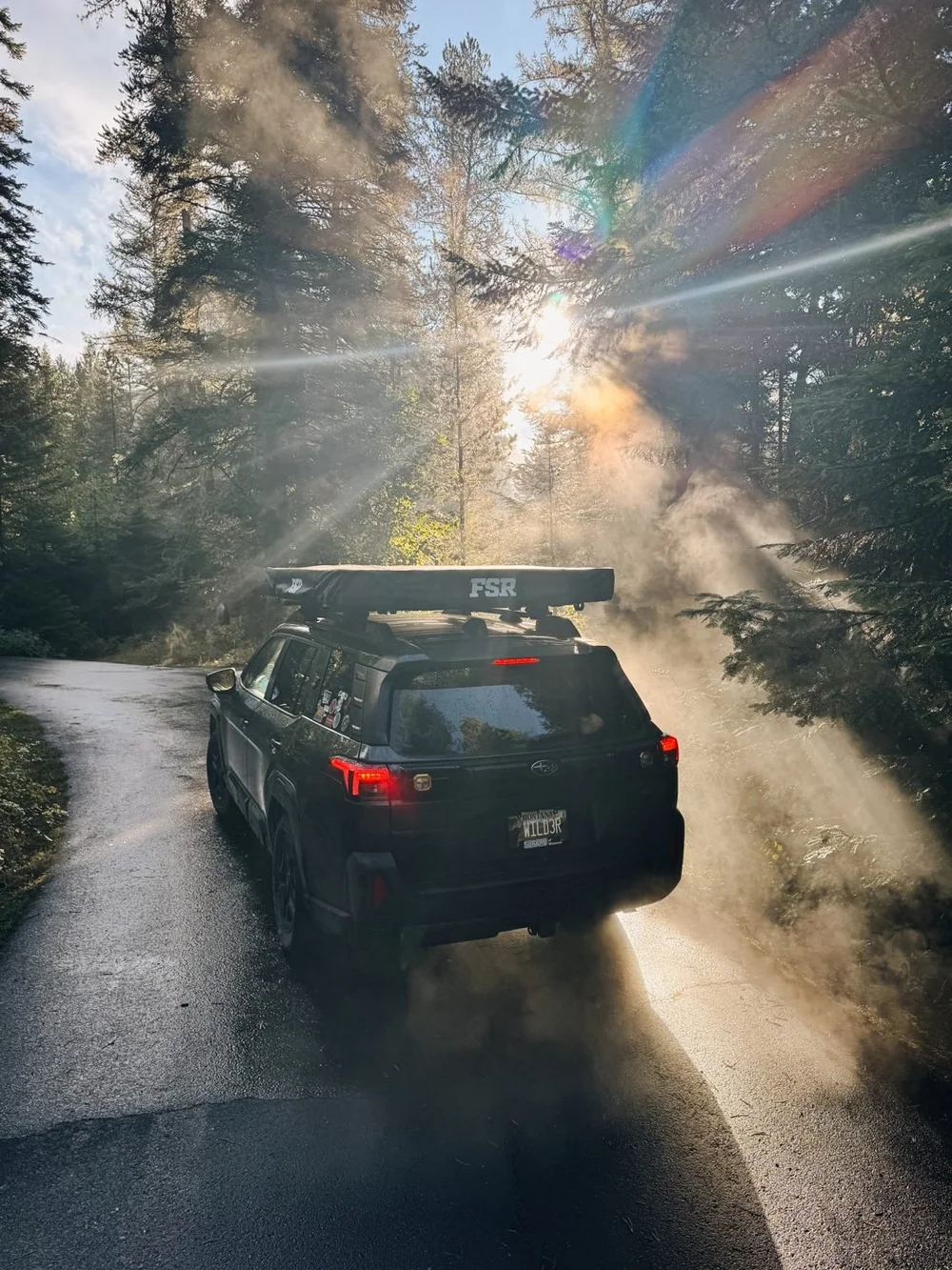 The Outback on a forest road with sunbeams through morning mist