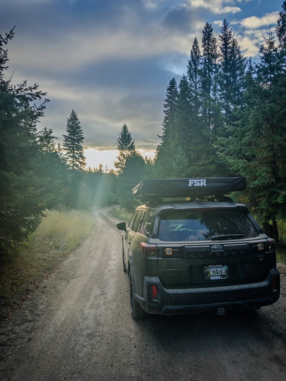 The Outback on a dirt road through pines at sunset