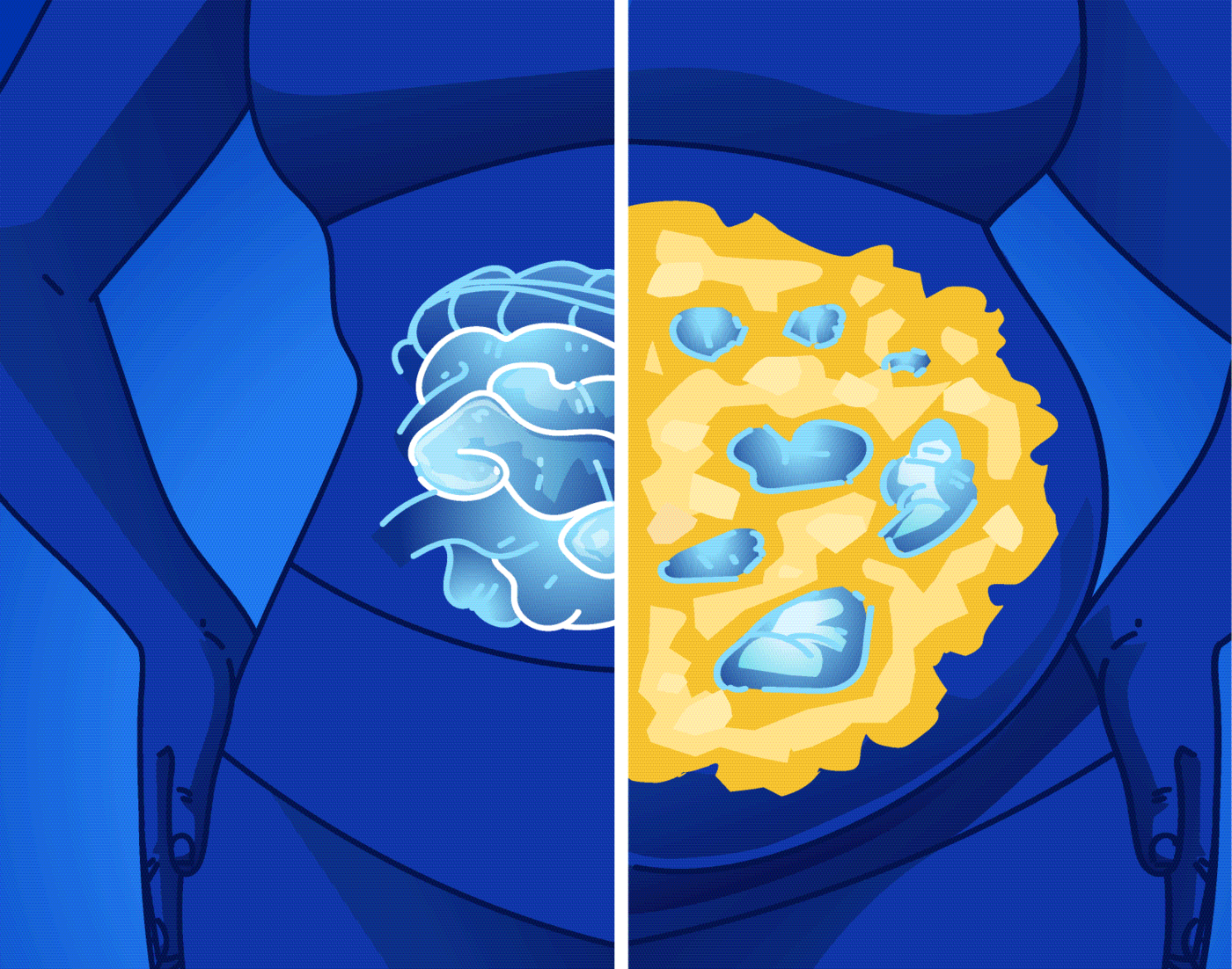 Two cross-sections at the same body weight: one with fat mostly under the skin, one with fat packed around the organs