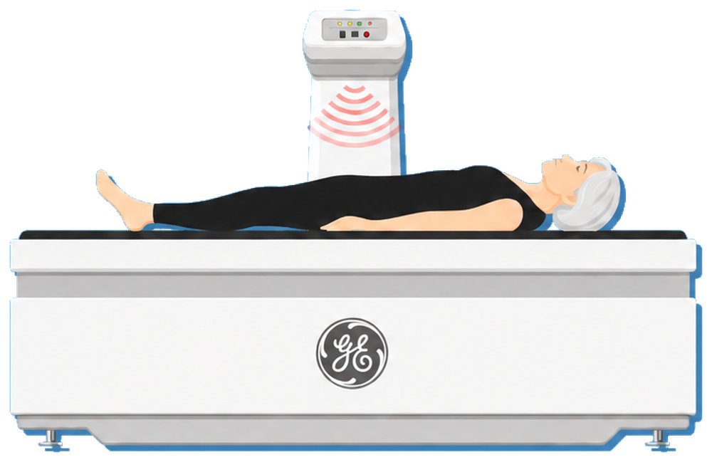 Bone density scan illustration