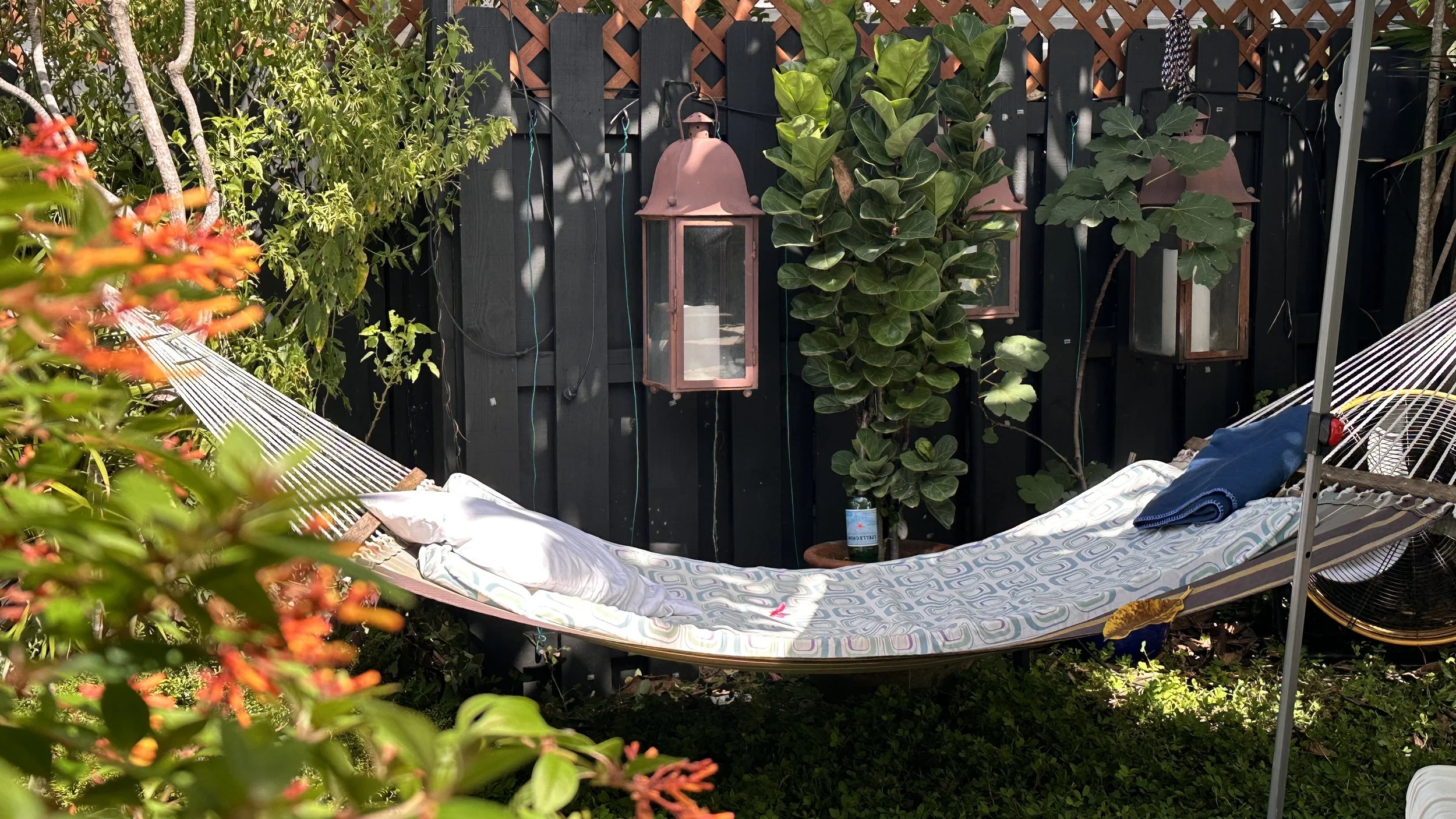 Hammock strung between trees in the garden