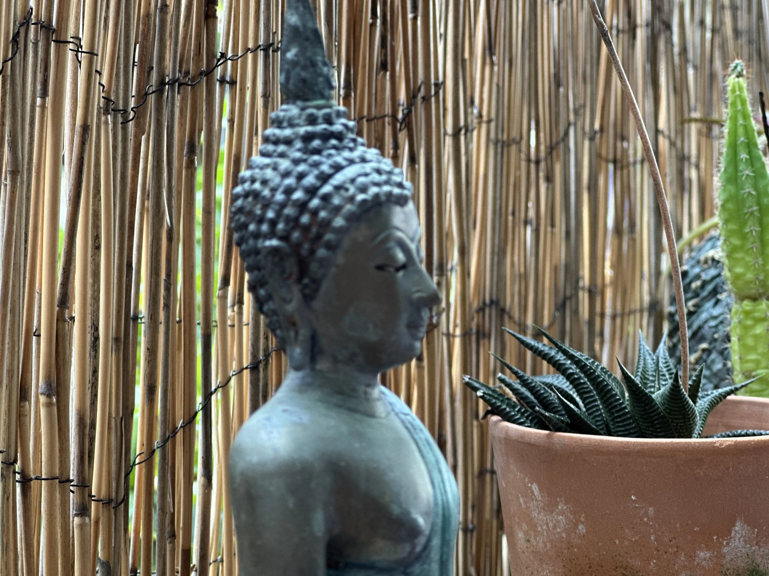 Stone Buddha statue among bamboo in the garden