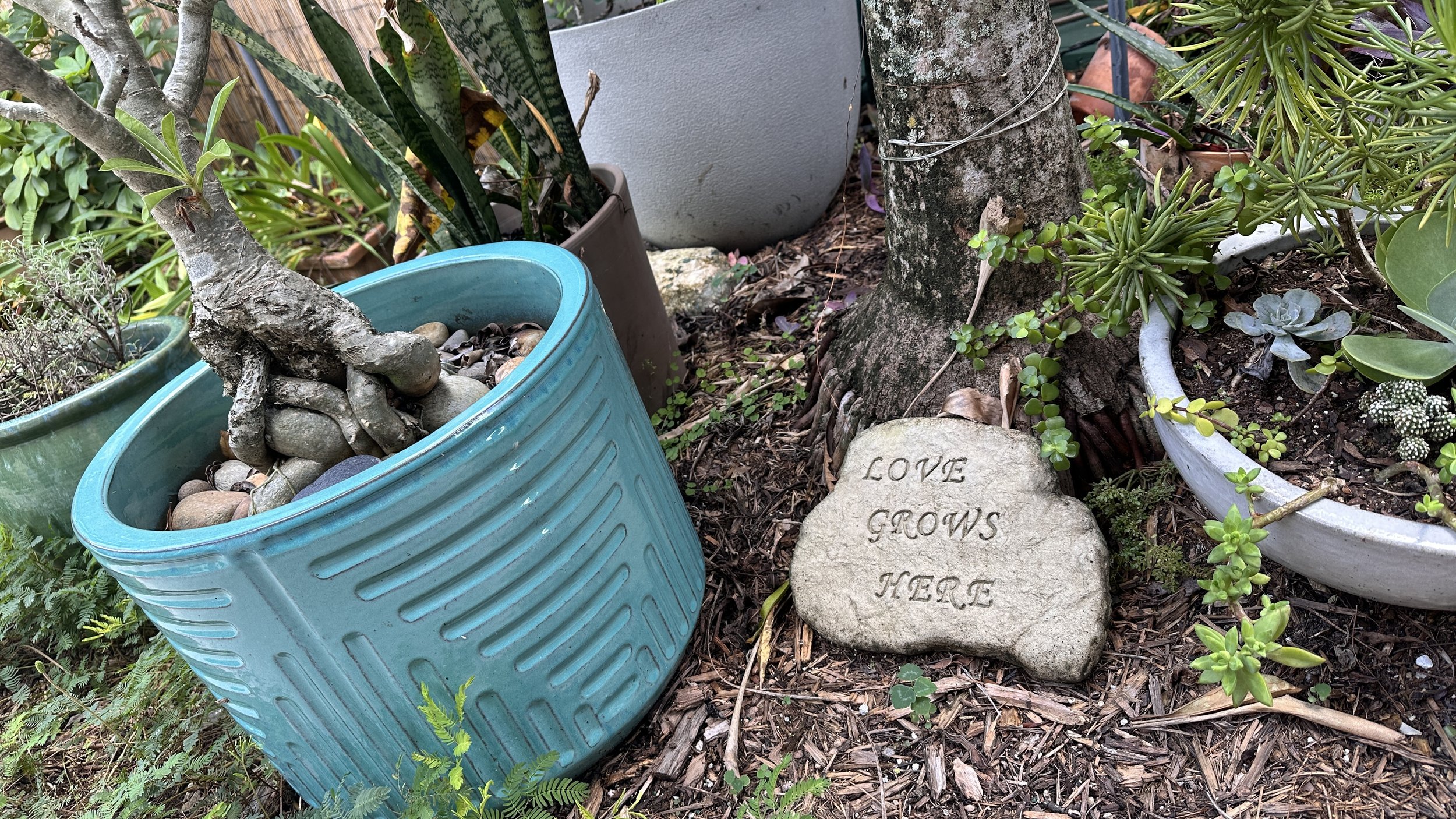 A garden planter tucked among the greenery