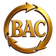 BAC – Bilens Andra Chans