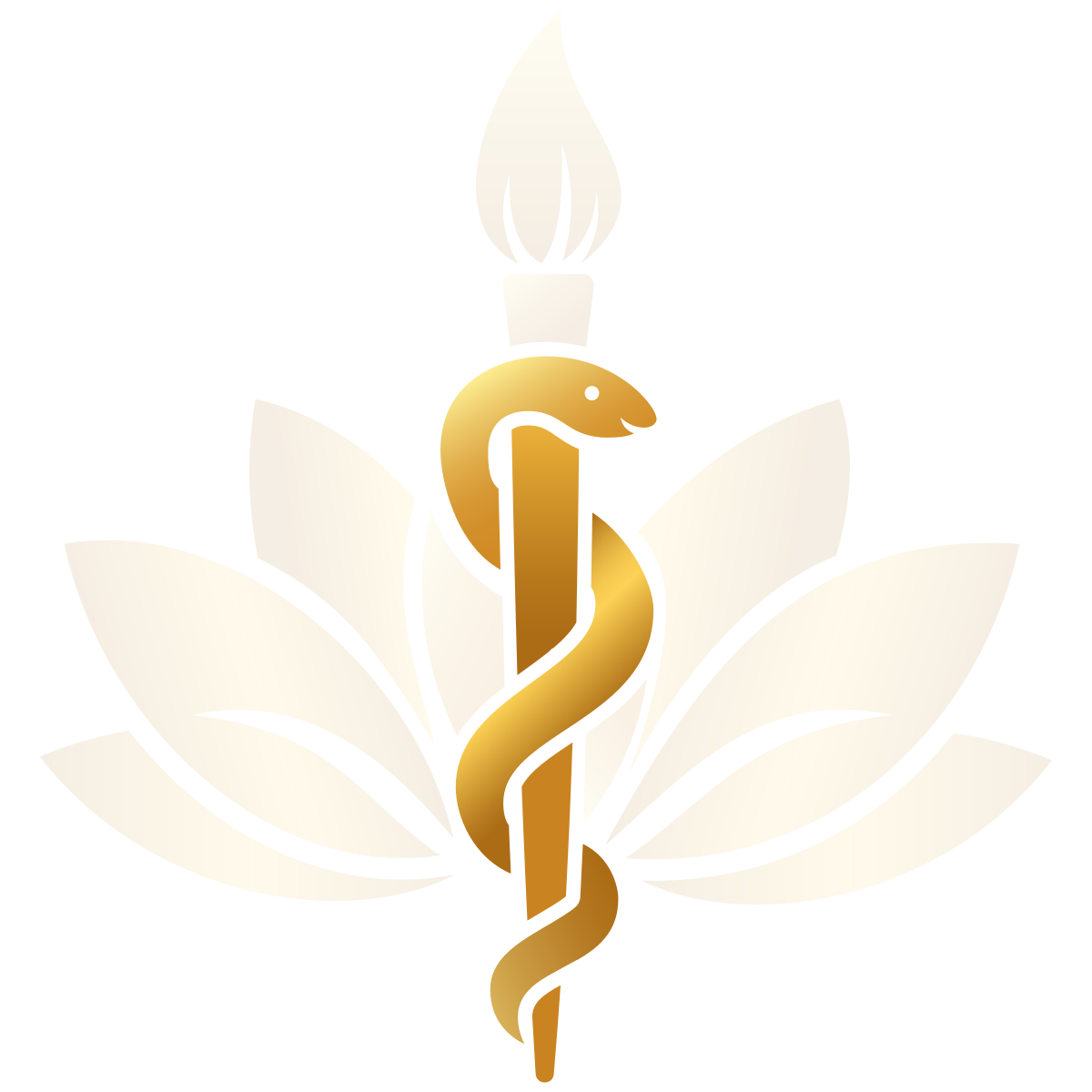 Artist MD logo with the Rod of Asclepius highlighted in champagne gold, representing medicine, healing, and physician responsibility.