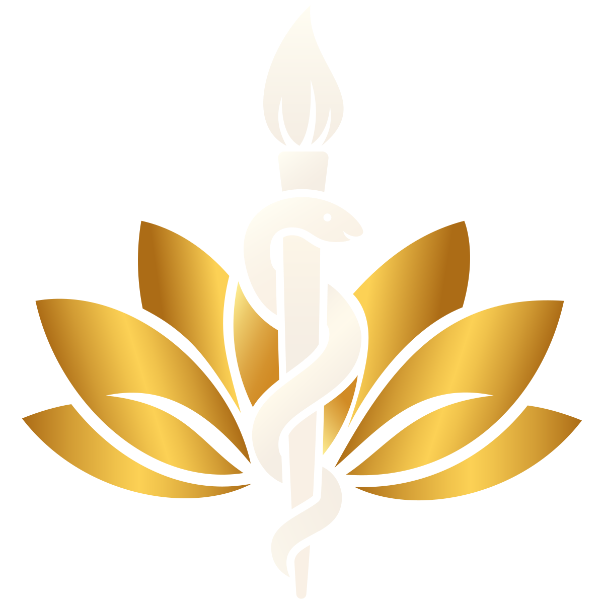 Artist MD logo with the lotus flower highlighted in champagne gold, symbolizing renewal and intentional growth.