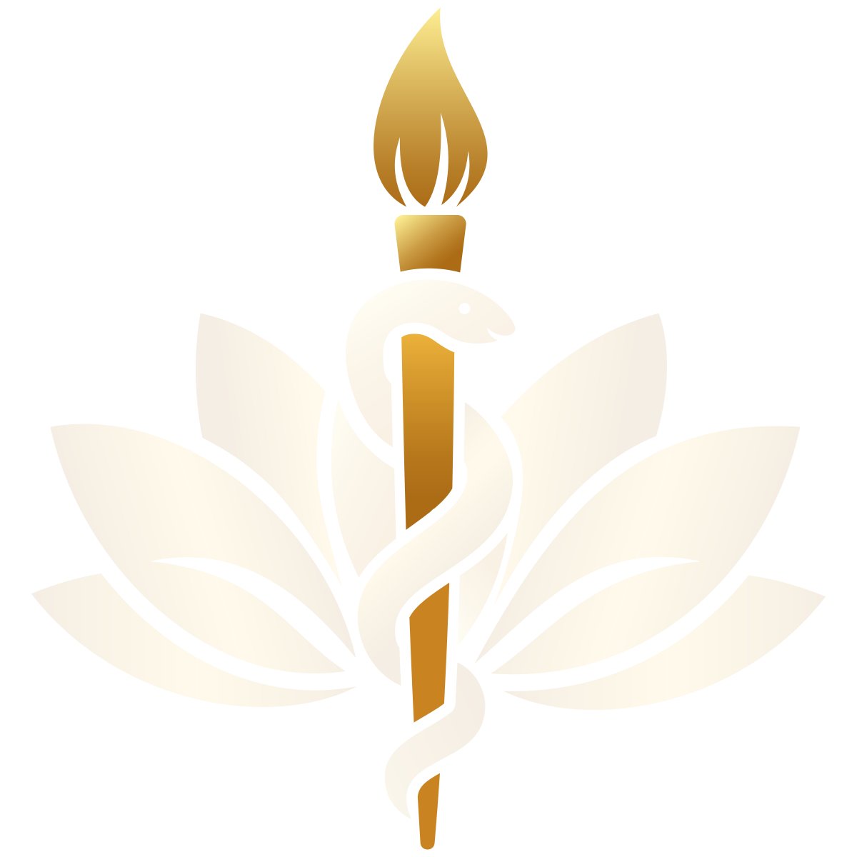 Artist MD logo with the artist brush highlighted in champagne gold, representing individuality, proportion, and restraint.