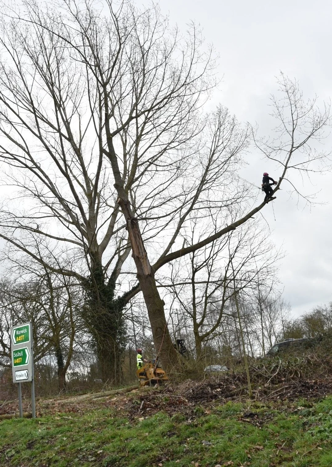 Emergency Tree Services