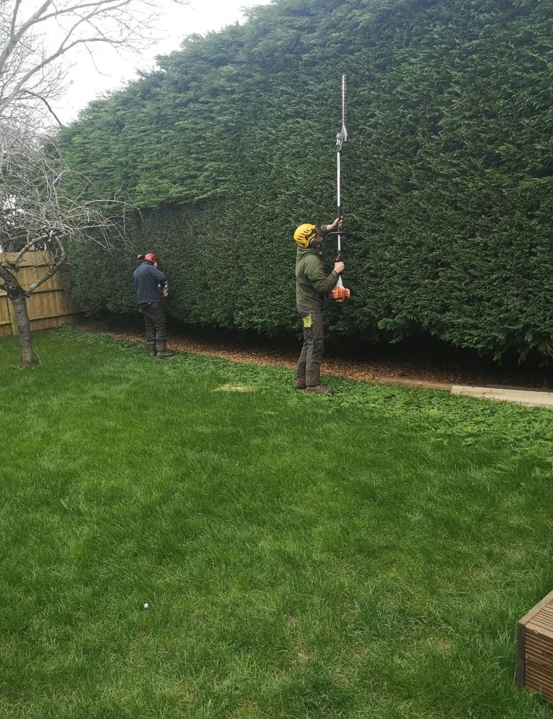 Hedge Maintenance