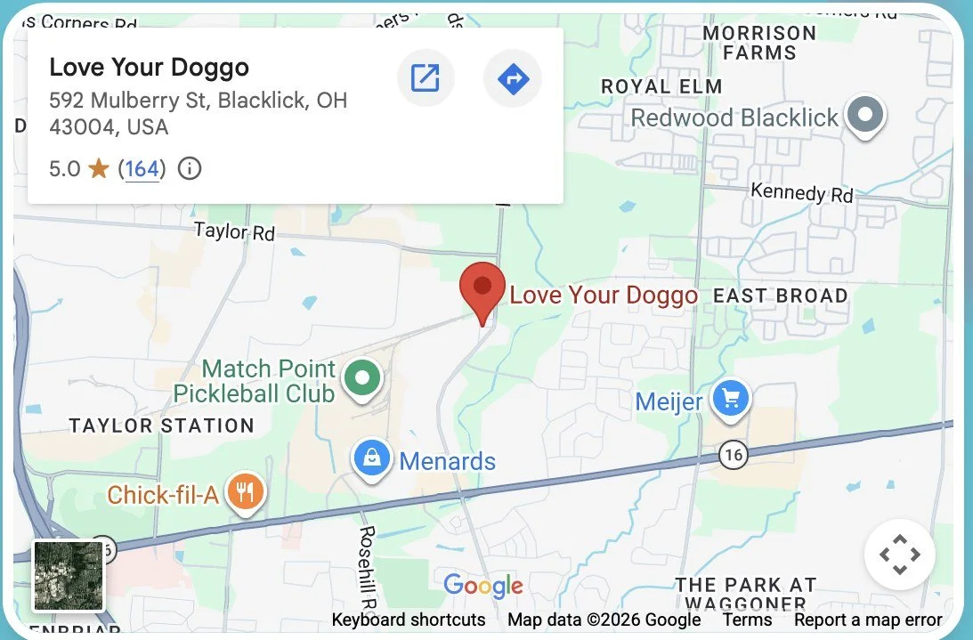 Google map showing Love Your Doggo at 592 Mulberry Street in Blacklick Ohio