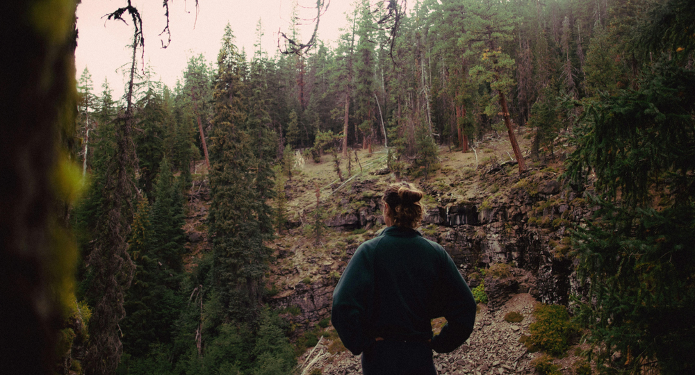 A hiker looking across a rocky canyon surrounded by evergreen forest.