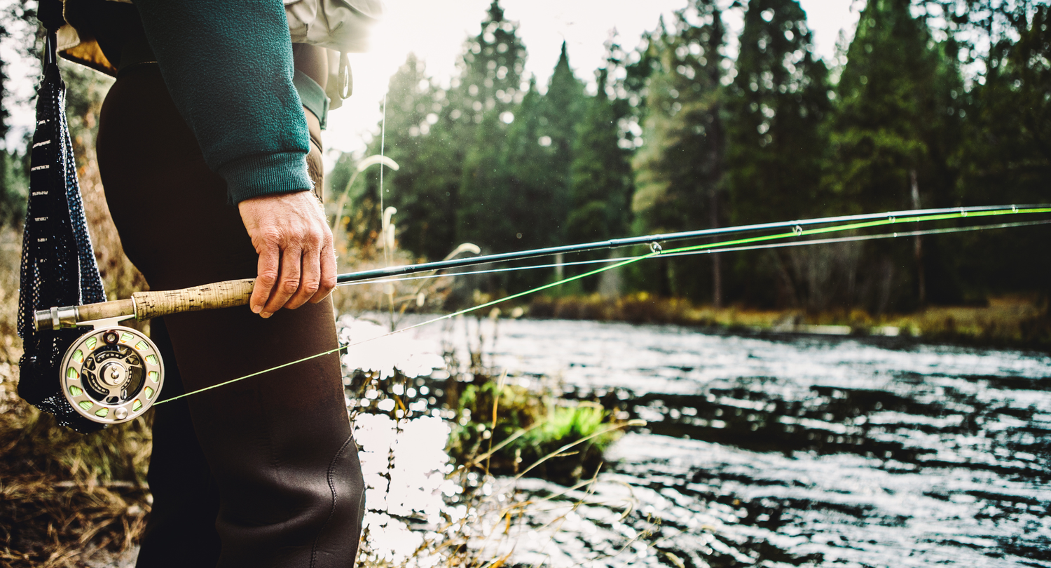 An angler holding a fly rod beside a sunlit river lined with evergreen trees.