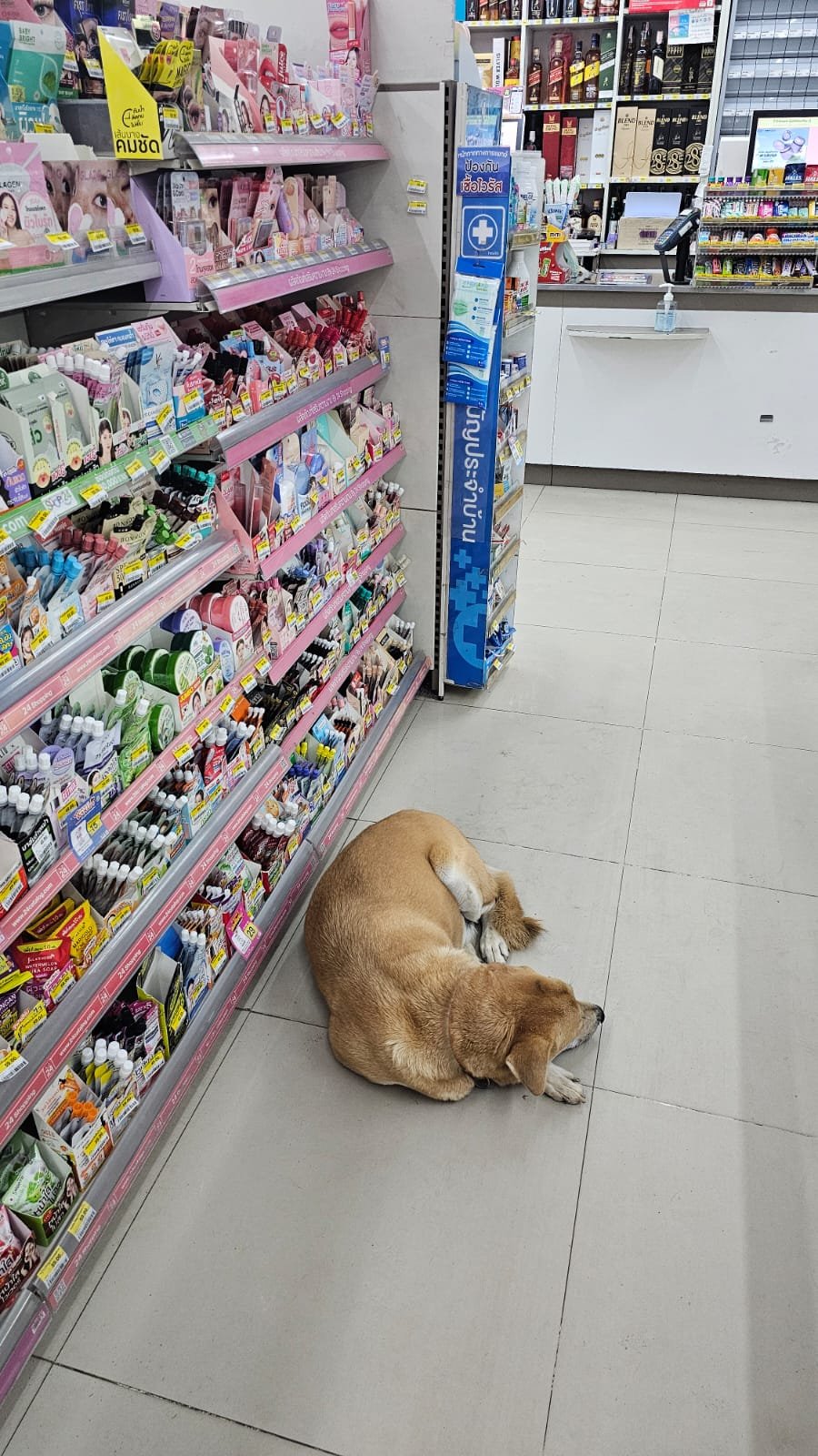 Cielo nuvoloso tropicale e vegetazione verde in Thailandia