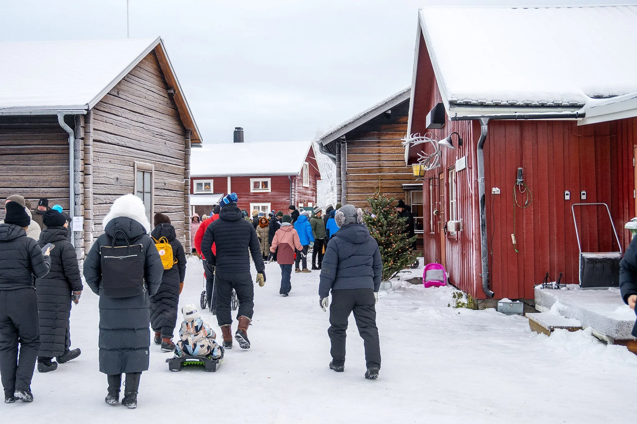 Narvik: ICEHOTEL Experience & Swedish Lapland