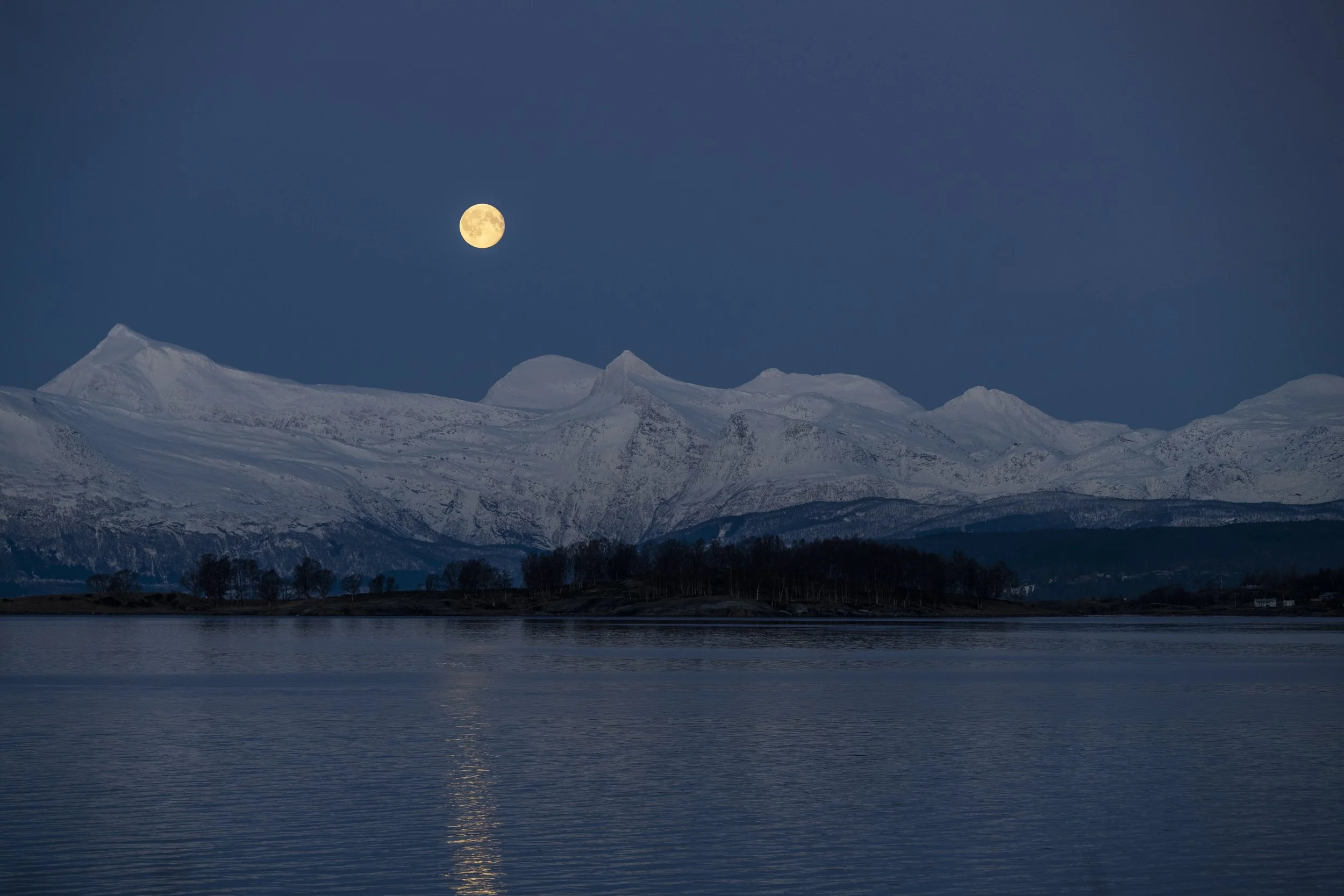 Narvik: Fjords & Arctic Light