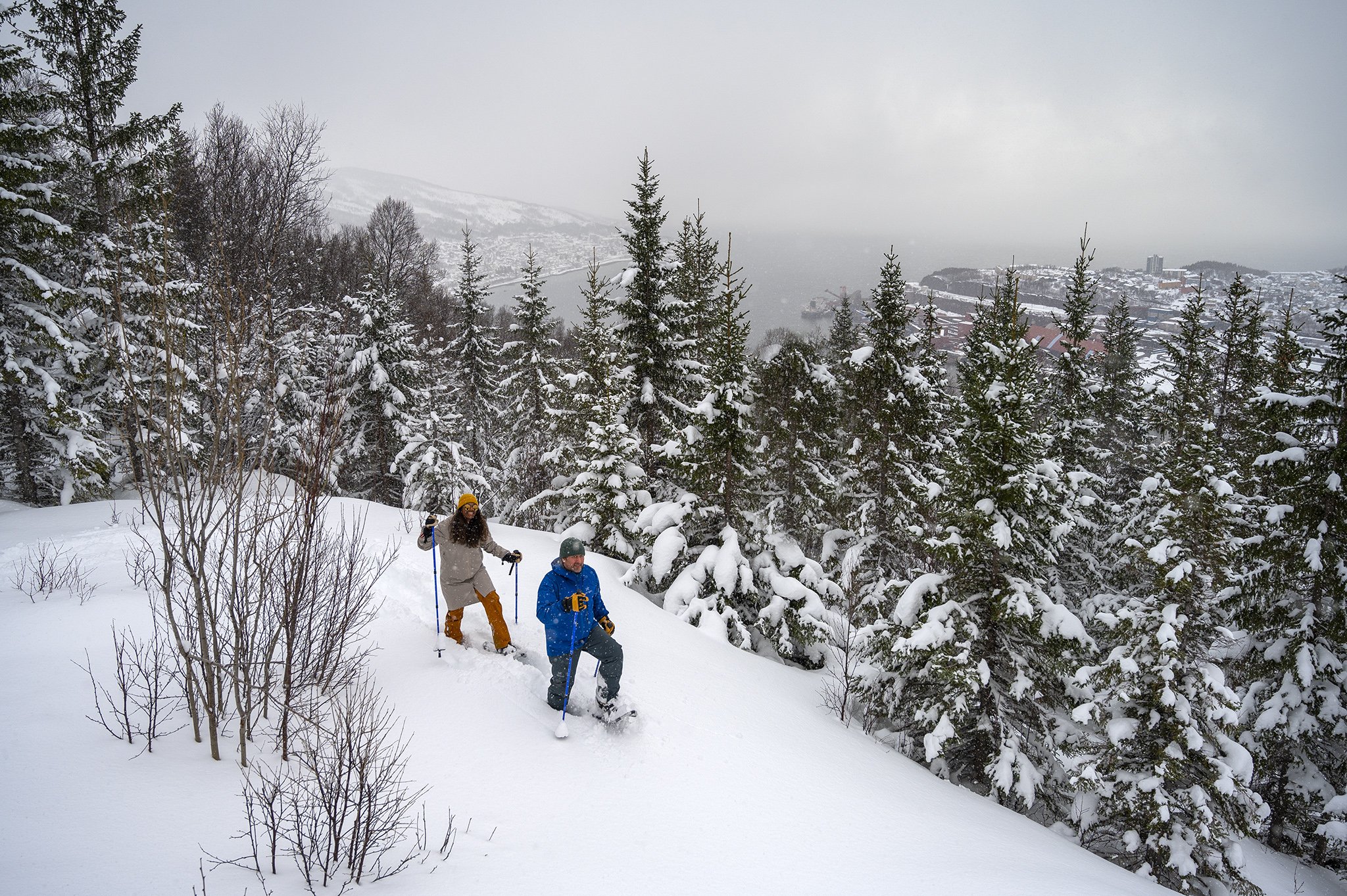 Snowshoe Adventure in Narvik winter landscape