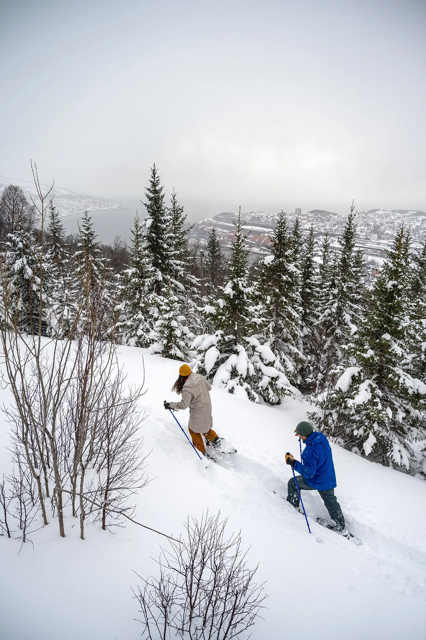 Snowshoe Adventure photo 2