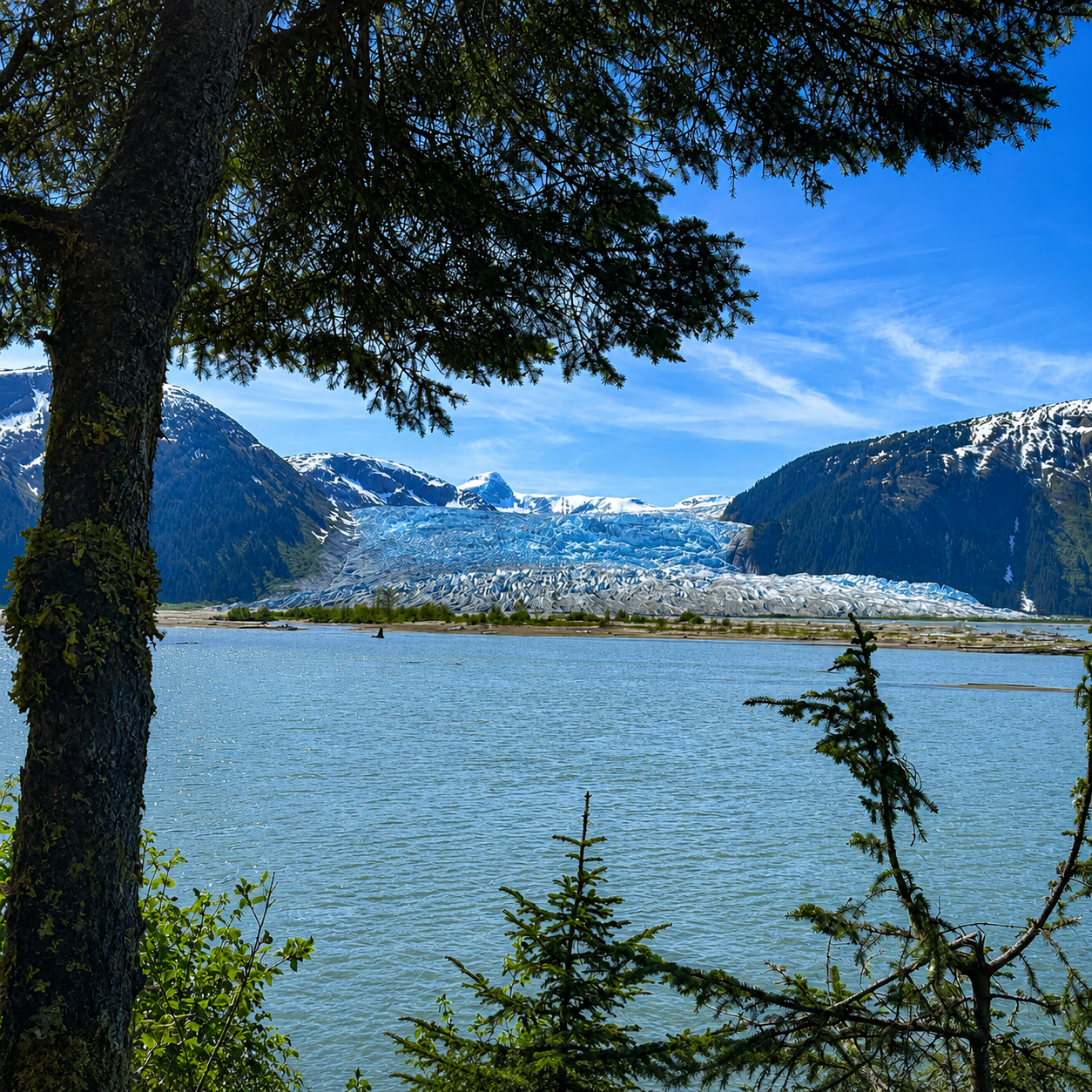 Glacier, lake, and forest landscape seen from the Taku Lodge seaplane excursion near Juneau Alaska