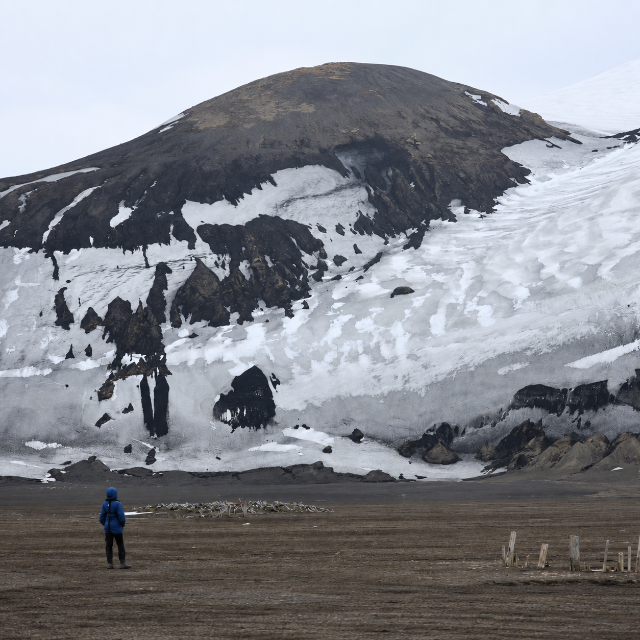 venture-to-see-antarctica-whalers-bay-volcanic-landscape