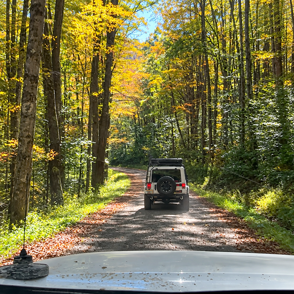 Line of overland vehicles following The Overlander Project trail leader through fall foliage in the Monongahela National Forest