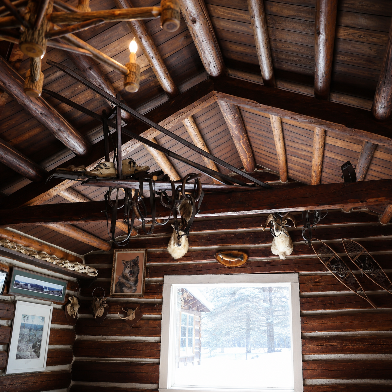 Rustic cabin interior at Taku Glacier Lodge filled with wildlife decor, furs, and historical artifacts