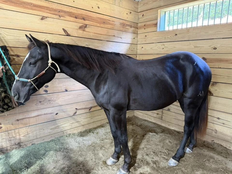 Mike and Sarah Ward with Ransom